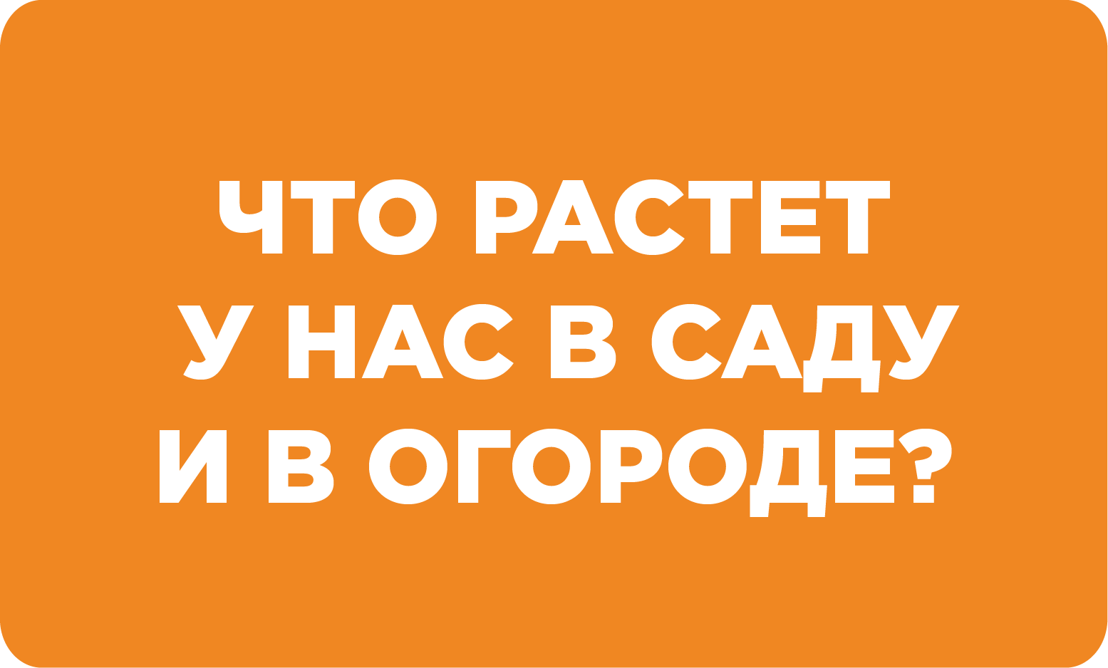 Сельское хозяйство