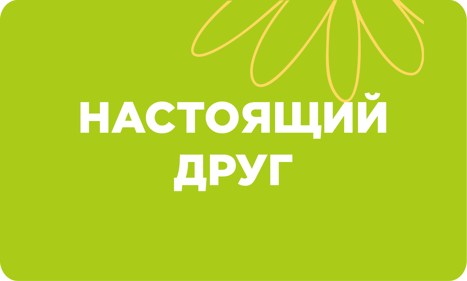 Настоящий друг