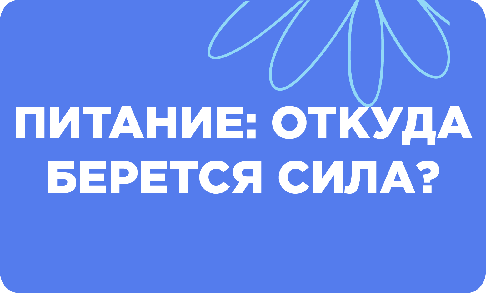 Питание откуда берется сила
